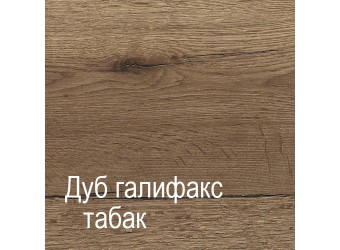 Настенная вешалка для одежды ПХ-10 (ДГТ) Ханна с полкой